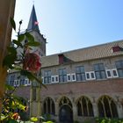 Xantener Dom mit Rose