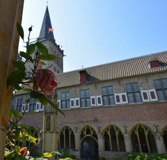 Xantener Dom mit Rose