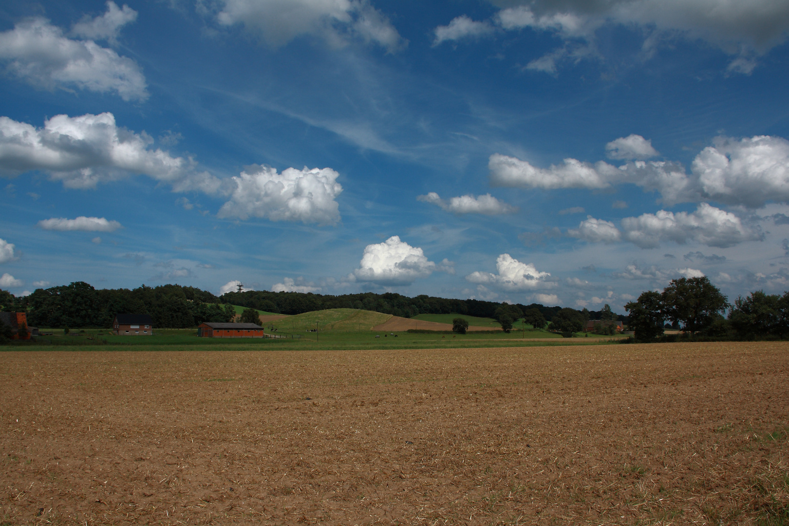 Xantener Fürstenberg - Naturschutzgebiet