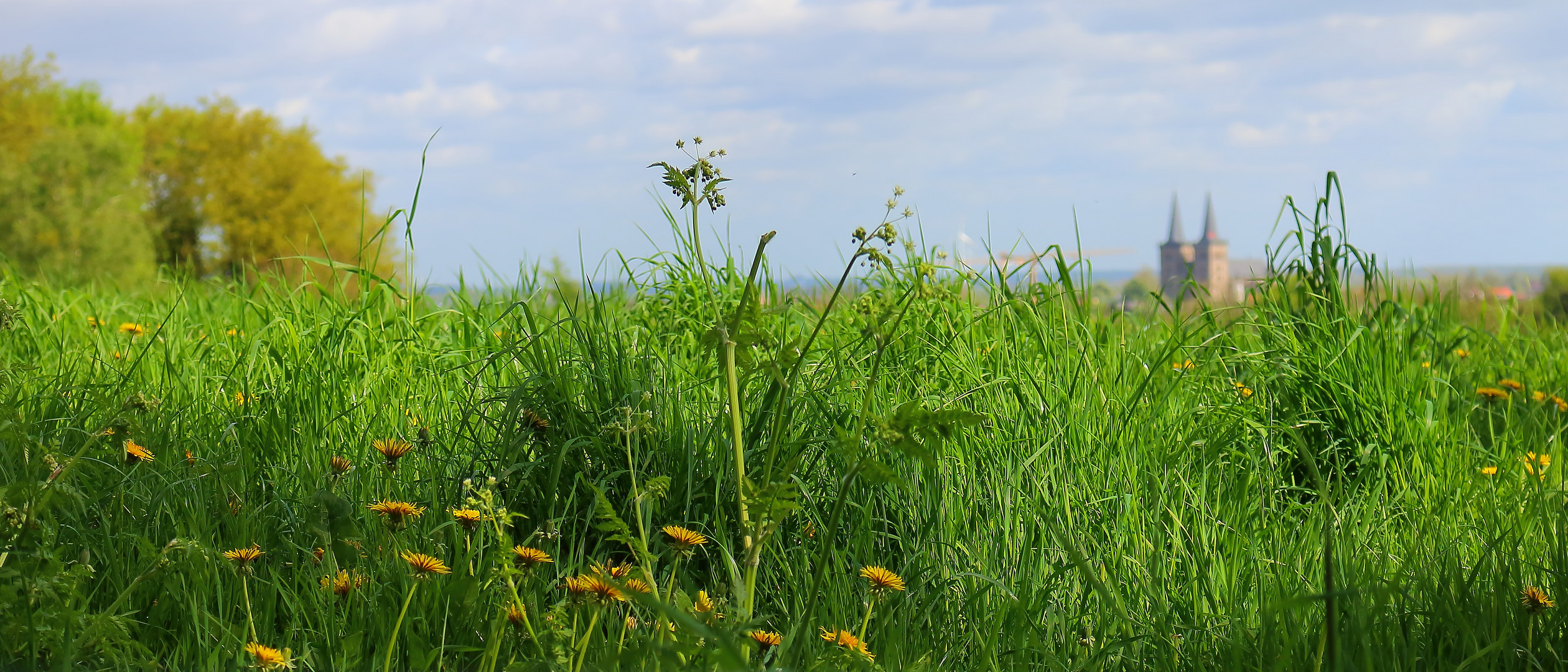 Xantens Grün im Frühling