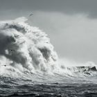 Xaver - Sturm auf Helgoland