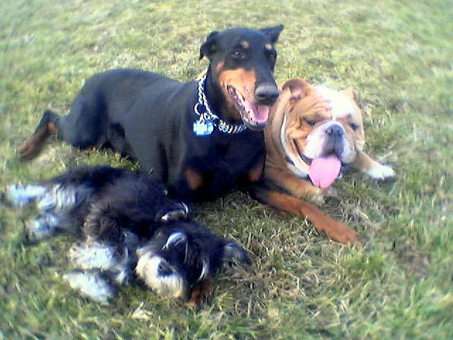 Xena and friends