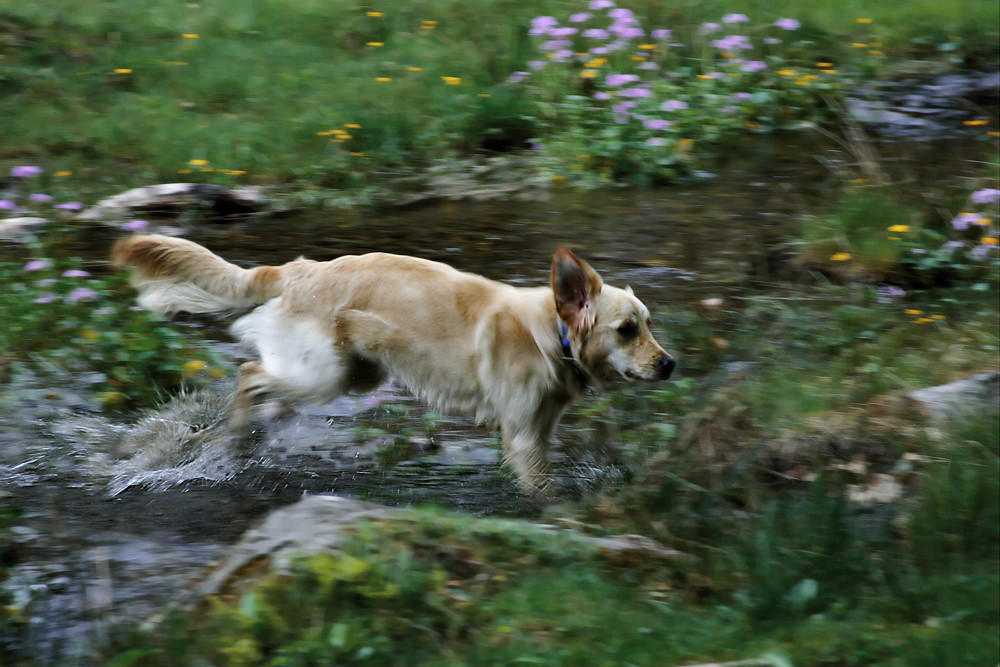 Xena en la agua fria