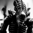 Xenomorph Warrior