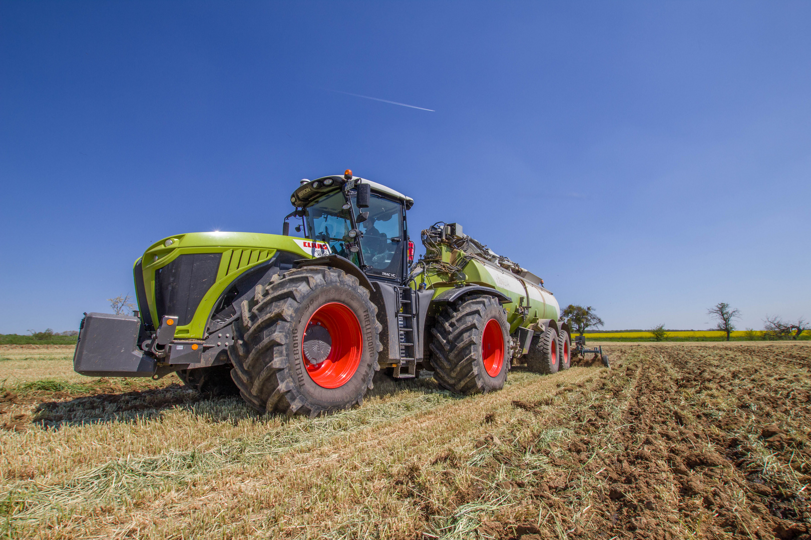 Xerion im Hundegang