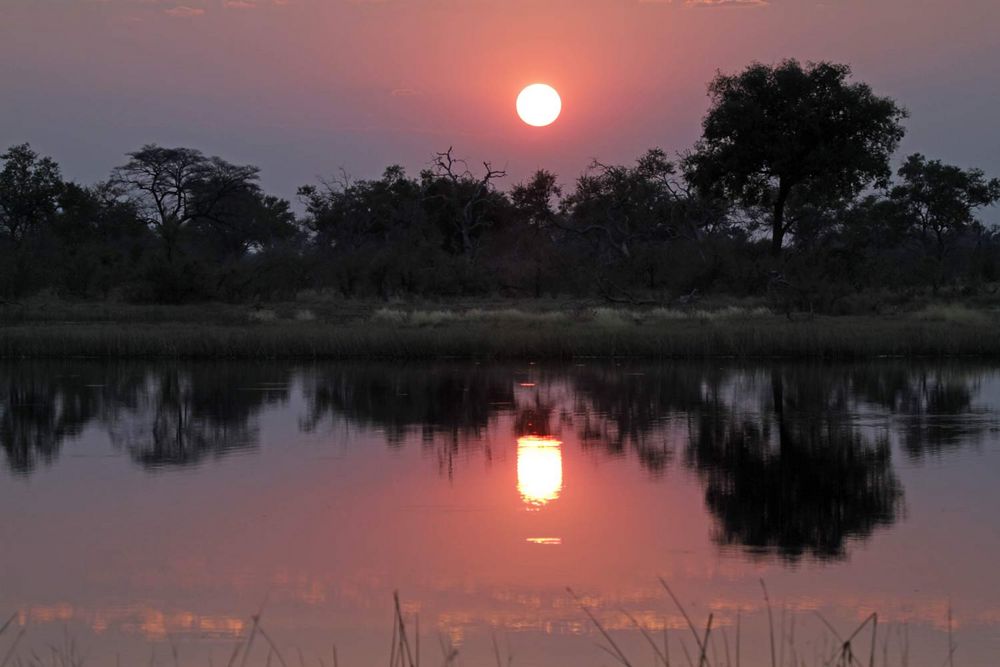 Xigera im Okanvango-Delta