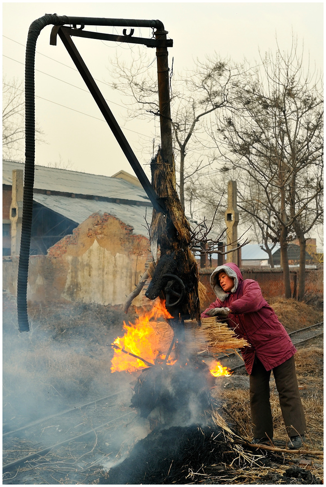 Xingyang - Frost in Henan 2011 / 1