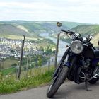 XJ650