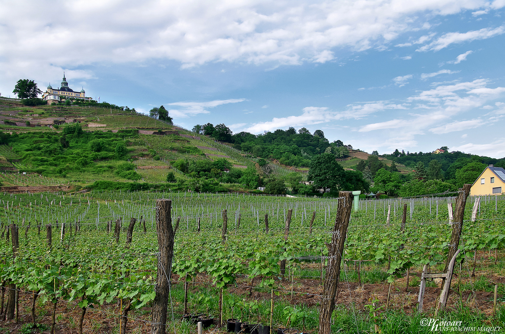 XJAZZ - Weingut Karl-Friedrich Aust