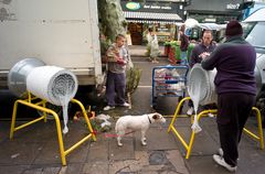 Xmas In Notting Hill