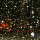 Xmas Tree in Snow