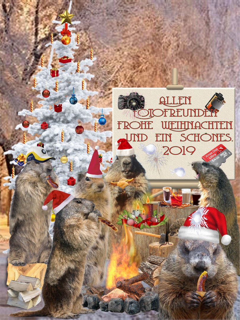 Xmasparty der Murmeltiere