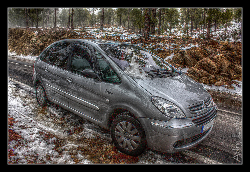 Xsara Picasso (HDR)