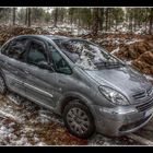 Xsara Picasso (HDR)