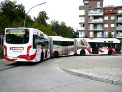 XXL-Bus 8713