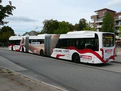 XXL-Bus 8713/2