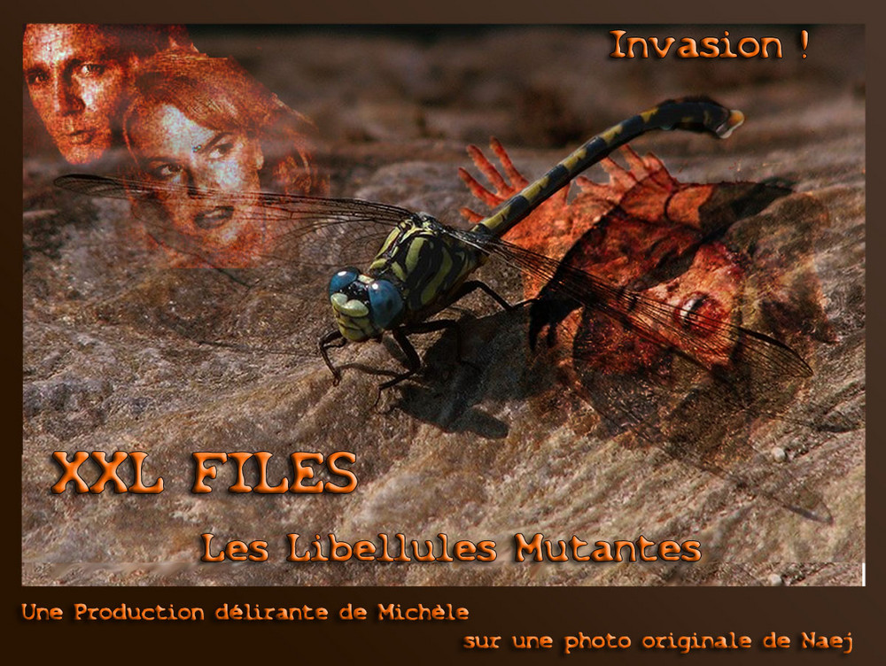 XXL Files - Libellules mutantes... L'Invasion !