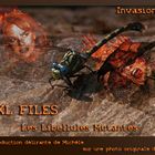 XXL Files - Libellules mutantes... L'Invasion !