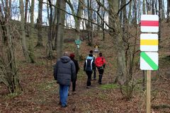 XXL- Wegweiser am Wegesrand