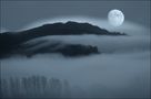 XXX von Veronika Pinke