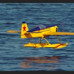 Y a t'il un pilote dans l'avion?