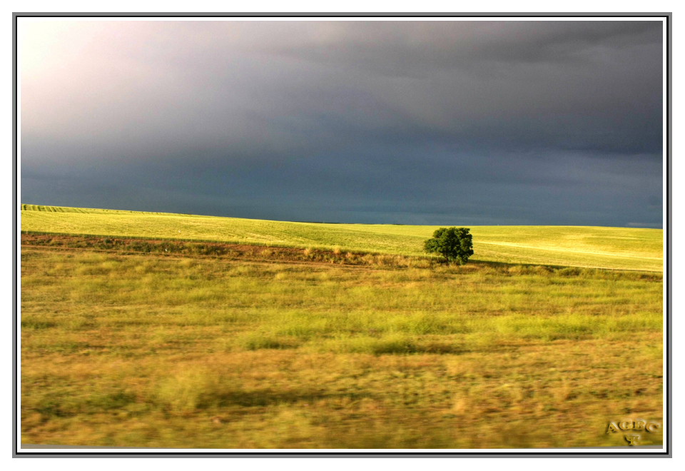 ...y despues de la tormenta se hizo la luz...