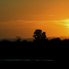 "Y Helios se ocultó tras las marismas...