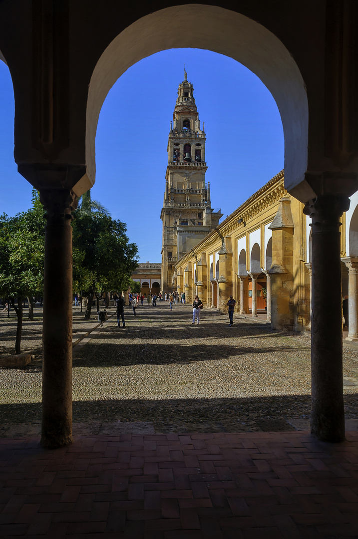 Y LA FOTOGRAFÍA LLEGÓ A CÓRDOBA.....