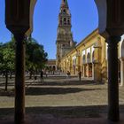 Y LA FOTOGRAFÍA LLEGÓ A CÓRDOBA.....