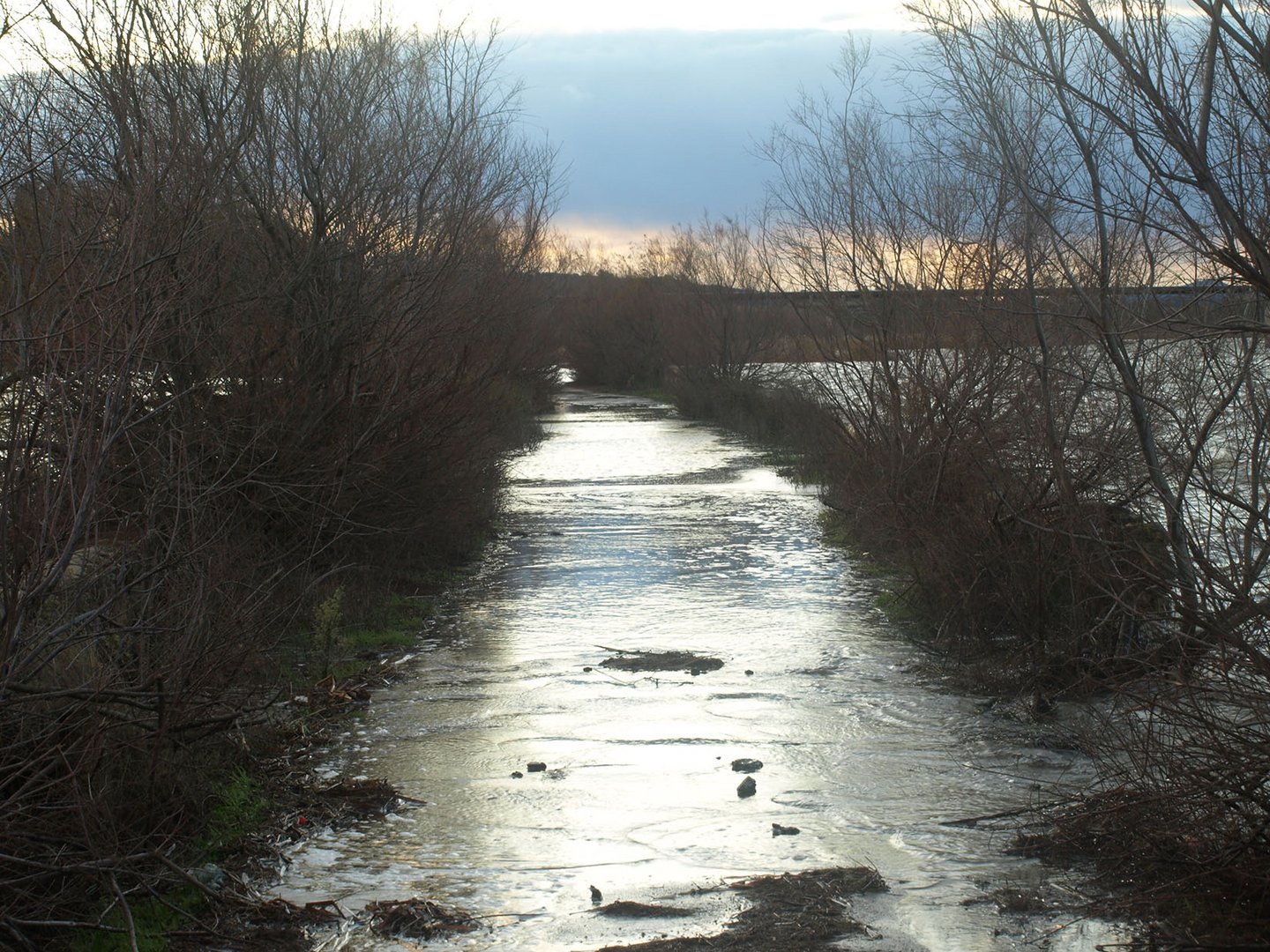 Y por fin un camino de agua