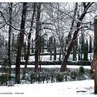 Y un manto de nieve cubrió a los ausentes