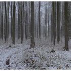 Ya está nevando (es schneit schon)