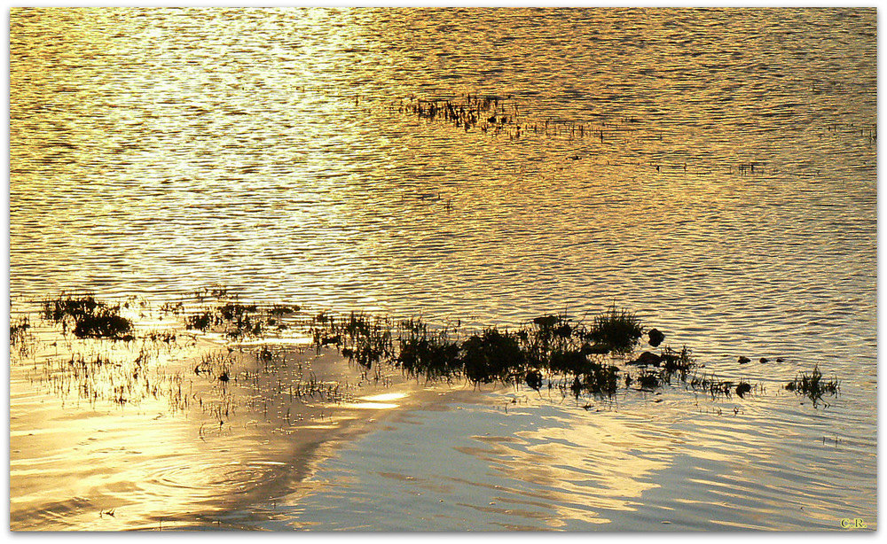 "Y'a pas l'feu au lac,d'ailleurs c'est pas un lac"...