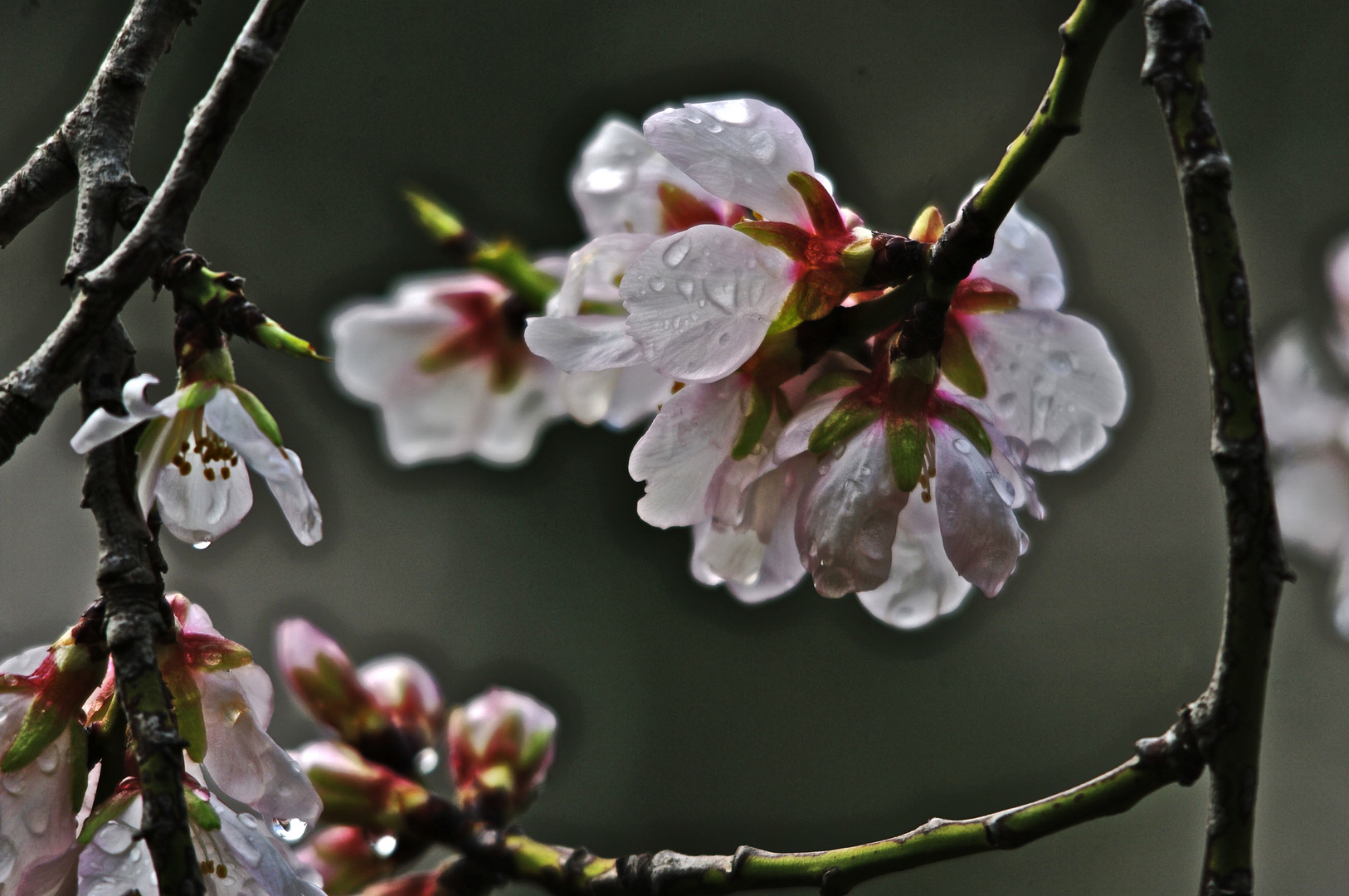 Ya se intuye la Primavera