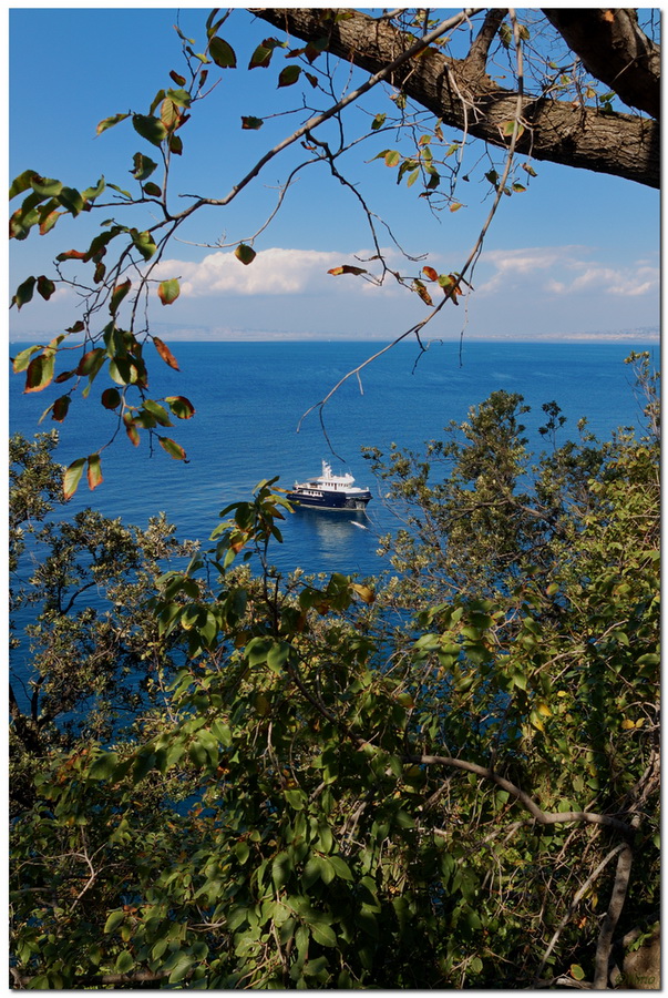 Yacht incorniciato dalla natura