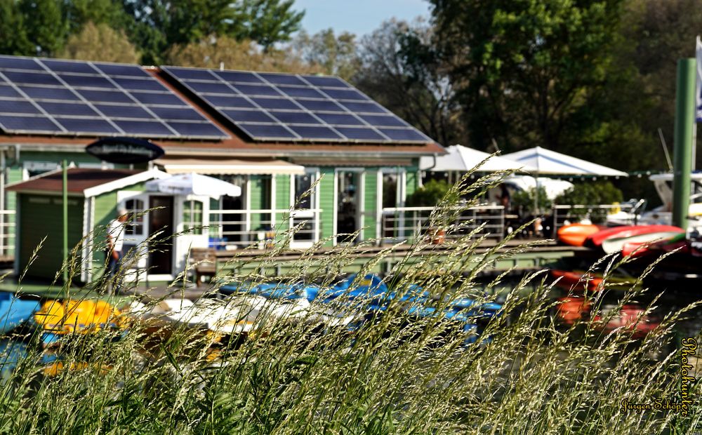 Yachthafen am Altrhein in Ginsheim