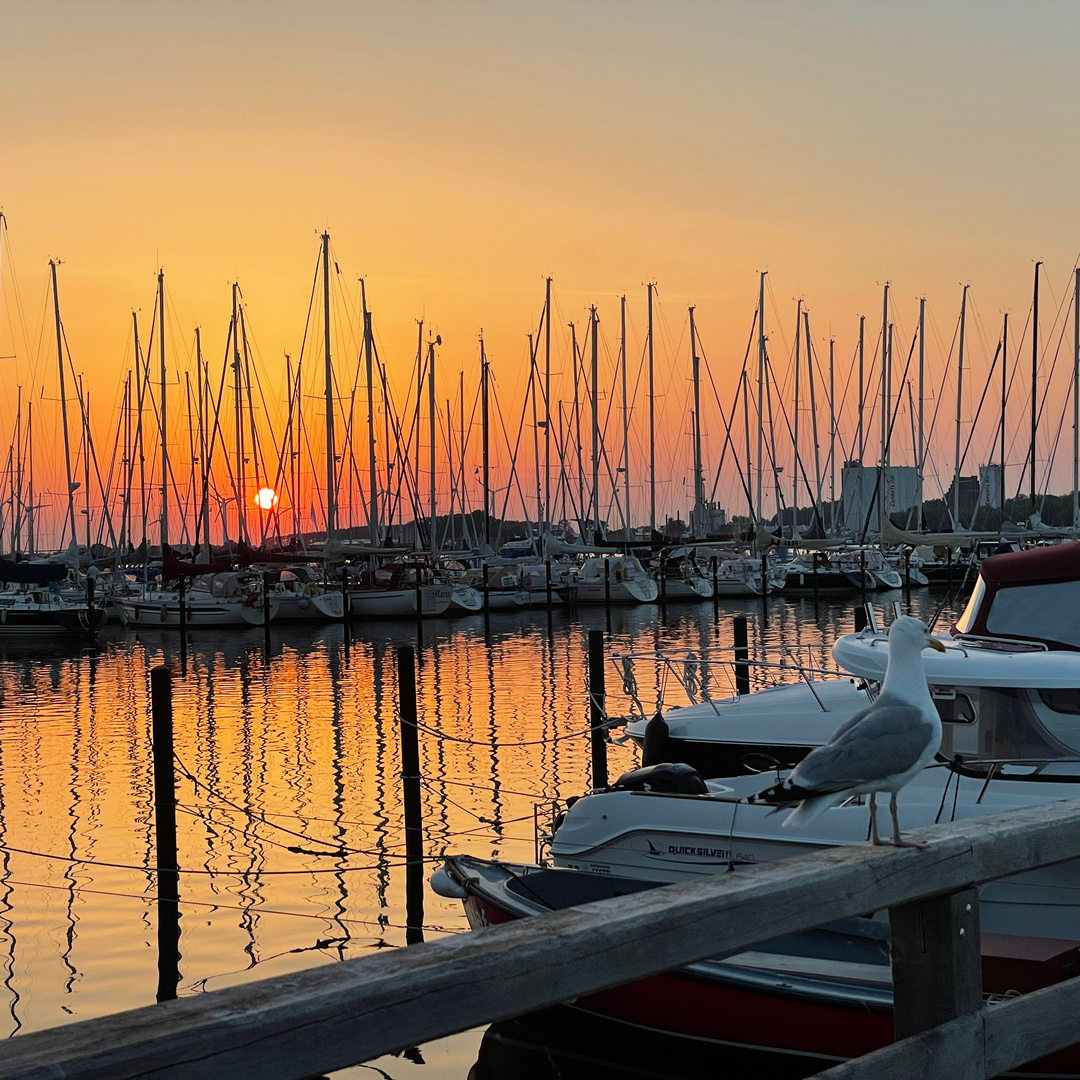 Yachthafen auf Fehmarn-Burgtiefe-IMG_7620_cr