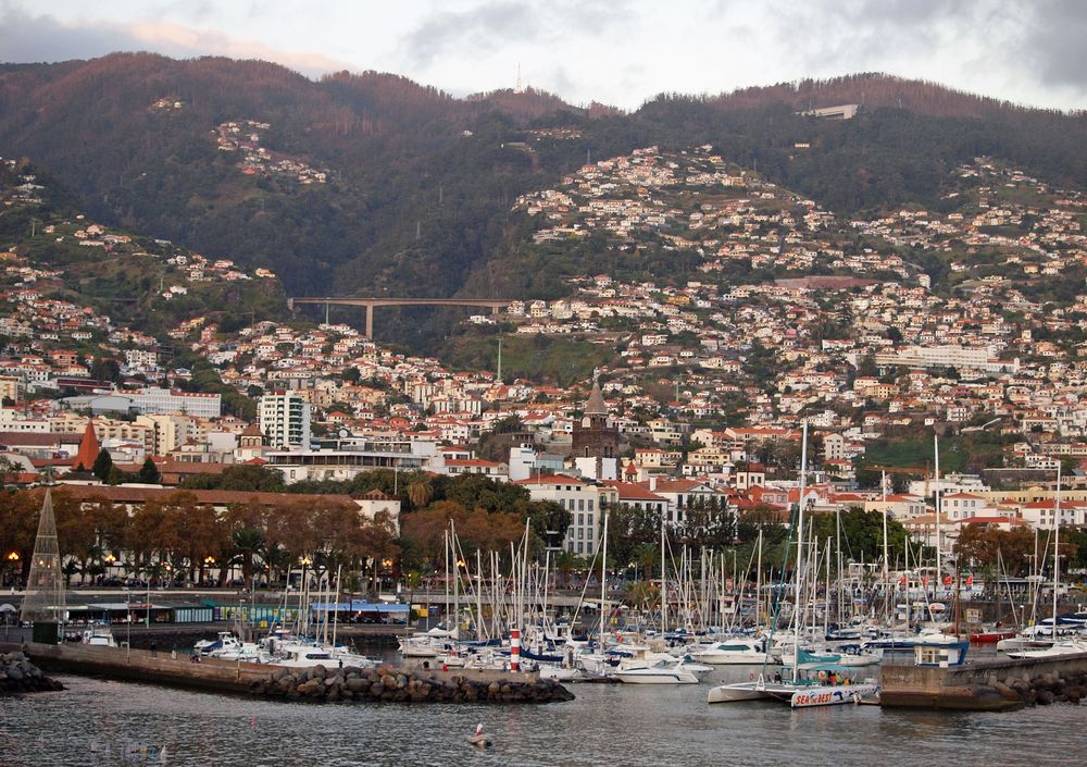 Yachthafen Funchal