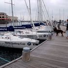 Yachthafen Hohe Düne Warnemünde