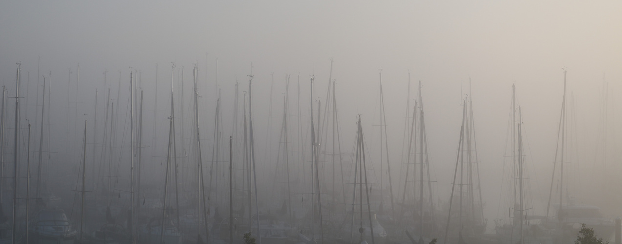 Yachthafen im Nebel