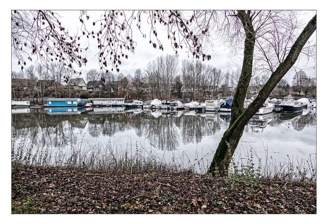 Yachthafen in Mondorf am Rhein