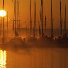 Yachthafen Marina Neuhof im Morgendunst