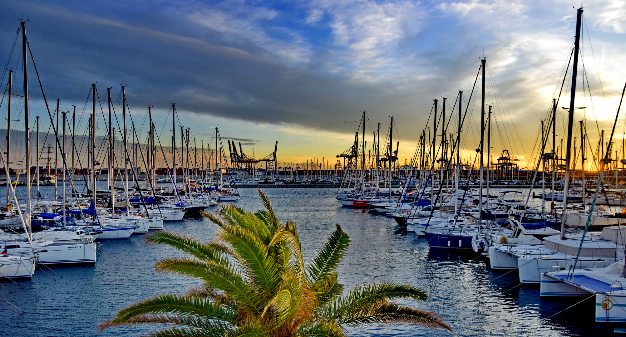 Yachthafen "Marina Real Juan Carlos I" von Valencia