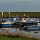 Yachthafen Oudeschild (Texel)