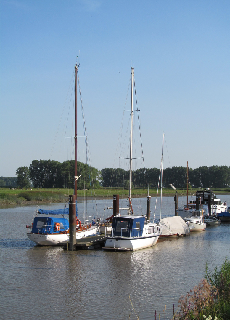 Yachthafen  Wischhafen 