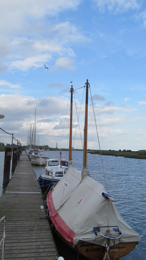 Yachthafen ... Wischhafen ... mit Möwe