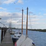 Yachthafen ... Wischhafen ... mit Möwe