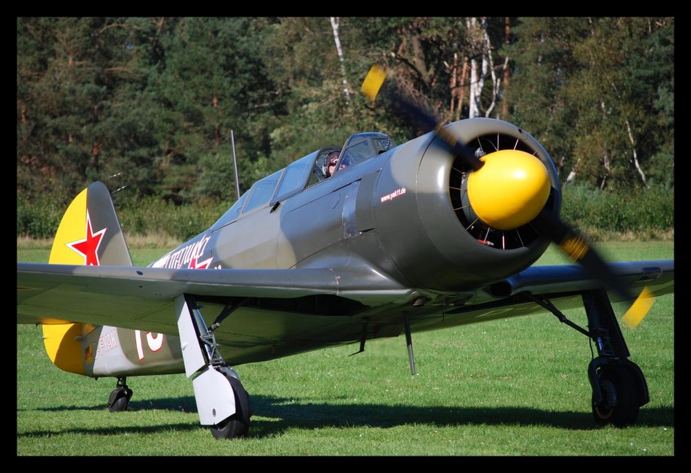 YAK 11