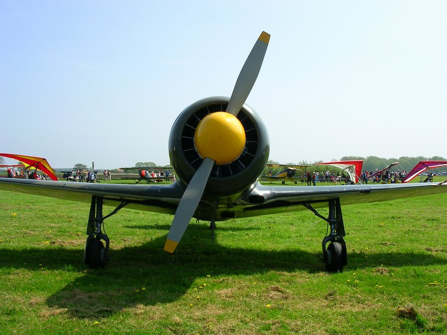 Yak 11