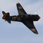 Yak 11